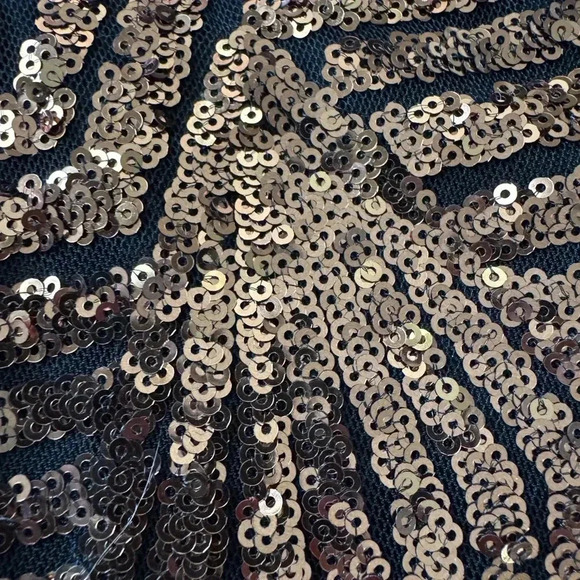 Windsor Squins body fit Dress - Picture 4 of 9